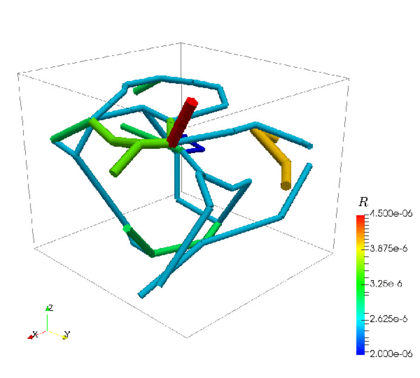prototype model of a network of capillaries