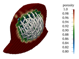 Coil with homogenized porous medium (porosity field) around it.