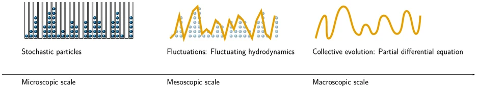 A stochastic particle model, its fluctuations and its hydrodynamic limit.