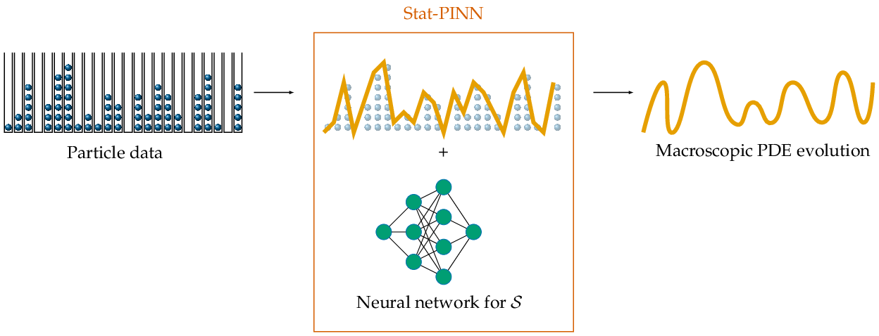Stat-PINN learns PDEs from particle data.