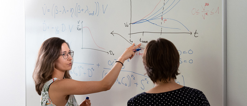 Grafische Darstellung eines modellierten Wachstums einer Tumorzellpopulation: Forscherinnen untersuchen mithilfe mathematischer Modelle und experimenteller Daten den Einfluss von Sauerstoffgehalt und Gewebesteifigkeit auf die Chemoresistenz von Lebertumorzellen.