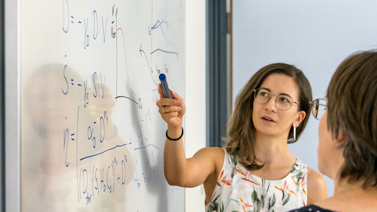 Mathematicians discuss a dose-response curve for drugs in a chemotherapeutic treatment at the whiteboard. Photo: Astrid Eckert / TUM
